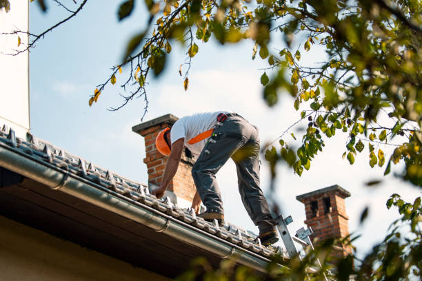 Best Affordable Roof Replacement  in Exmore, VA