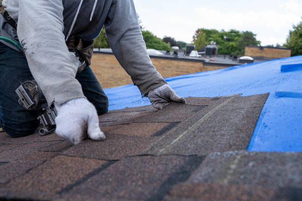 Best Roof Gutter Cleaning  in Exmore, VA