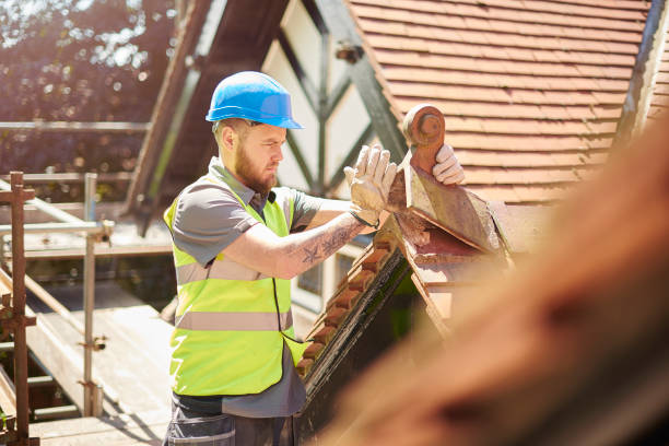 Gutter Installation and Roofing in Exmore, VA