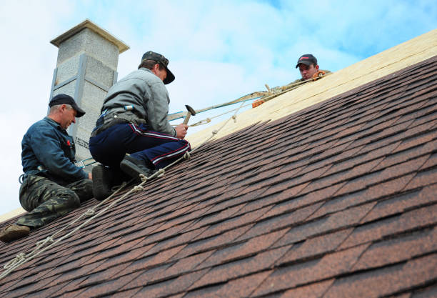 Best Roof Restoration Services  in Exmore, VA
