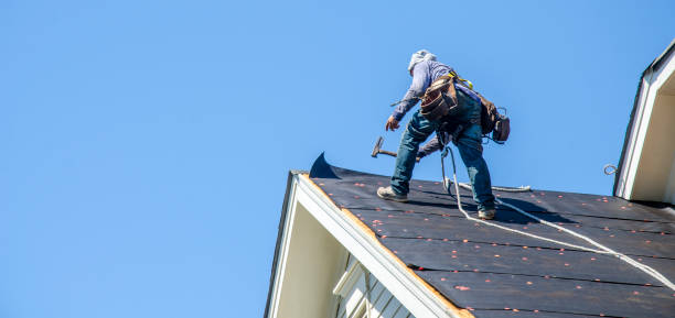 Best Roof Maintenance Services  in Exmore, VA